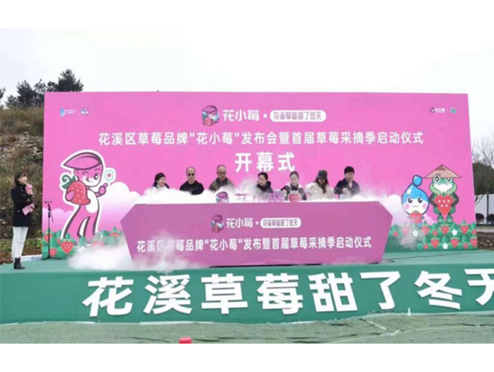 貴陽(yáng)瀑布升降臺(tái)租賃